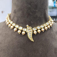 Thumbnail for Beautiful Parrot Pearl Kundan Necklace